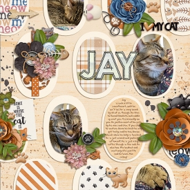 Jay.jpg