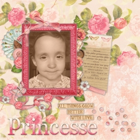 Jolie_Princesse_gallery_4_Tutorial_Challenge_Paint_with_paper.jpg