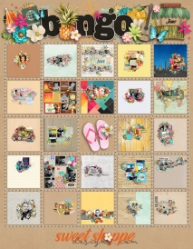 June2016_tracker-BINGO600.jpg