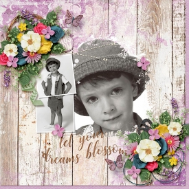 LetYourDreamsBlossom_ALittleBitArty8_700.jpg