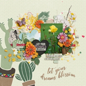 LetYourDreamsBlossomweb.jpg