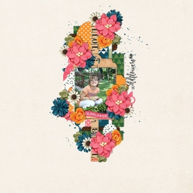 Like_Wildflowers.jpg