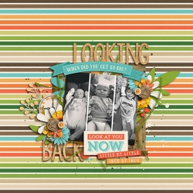 LookingBack7001.jpg