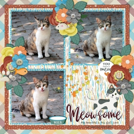 Meowsome.jpg
