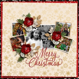 MerryChristmas_leah.jpg