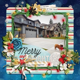 Merry_Brightcopy.jpg