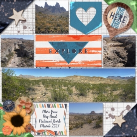 More-from-Big-Bend.jpg