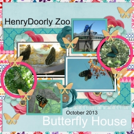 N10-butterfly-house.jpg