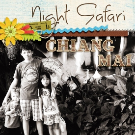NIght-Safari-Left-copy.jpg