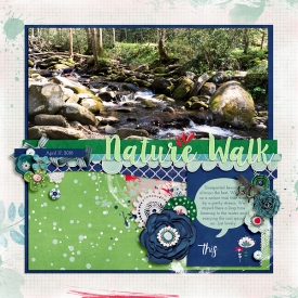 Nature-Walk-WEB.jpg