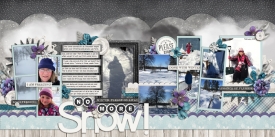 NoMoreSnow_Feb2015.jpg