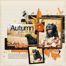 November-notebook-background.jpg