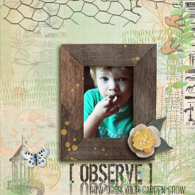 Observe-copy.jpg