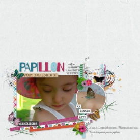 Papillon_gallery_6_Technique_whitespace.jpg