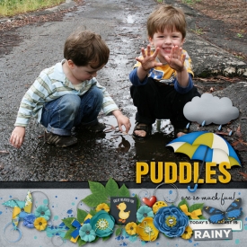 Puddles.jpg
