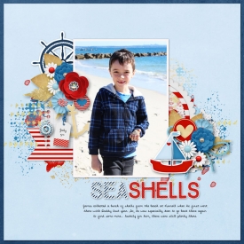Sea-shells.jpg