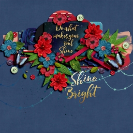 ShineBright_leah1.jpg