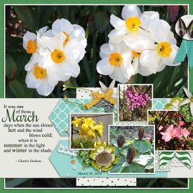 Spring-WEB10.jpg