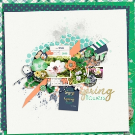 Spring2-WEB1.jpg