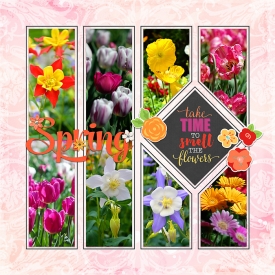 Spring_immaculeah2.jpg