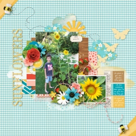 Sunflowers.jpg