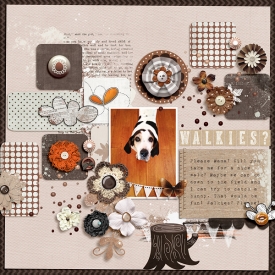 Walkies-WEB.jpg