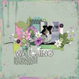 Watching-web.jpg