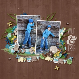 Wild-_-free2.jpg
