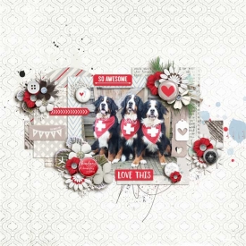 Winter-to-Remember700.jpg