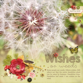 Wishes-or-Weeds-WEB.jpg
