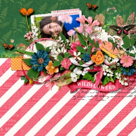 anelia-wildflowers.jpg