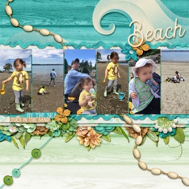 beach-.jpg