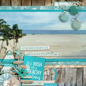 beachy_copy1.jpg