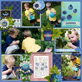 berries-Blue.jpg