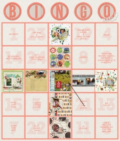 bingo-tracker-mar.jpg
