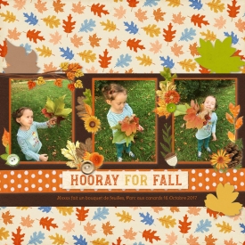 bouquet_de_feuilles_gallery_12_Paper_Challenge_Leaf_shapes.jpg