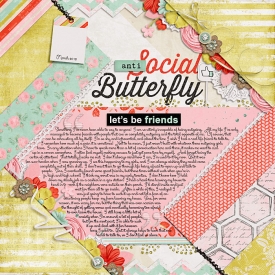 briesocialbutterfly.jpg