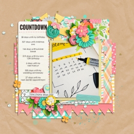 countdownF700.jpg