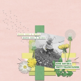 dandelions.jpg