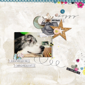 doggydreams-700.jpg