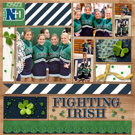 fighting-irish-Mac.jpg