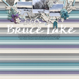 jan15--bruce-lake.jpg