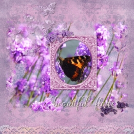 lavender01.jpg