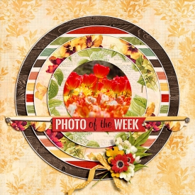 lfp_POTW700_leah.jpg