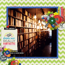 libraryloverF700.jpg