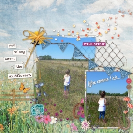 libre_comme_l_air_gallery.jpg