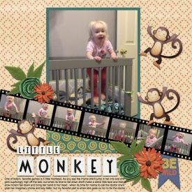 little_monkey2.jpg