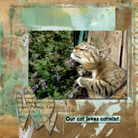 oct-_5-mint.jpg