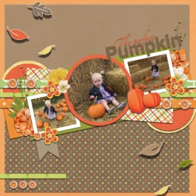 perfect_pumpkin.jpg