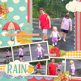 rain-puddles-2007web.jpg